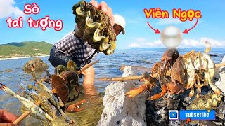 Bắt được sò tai tượng quý hiếm & phát hiện viên Ngọc trong khi tôi ăn nó | săn bắt và nấu ăn tại chỗ