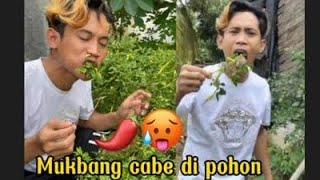 Mukbang cabe rawit