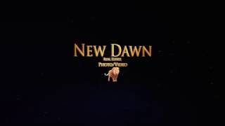 Lion New Dawn Closing 2017