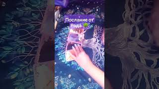 Послание от Рода 🌳 #tarotcards #tarot #духирода