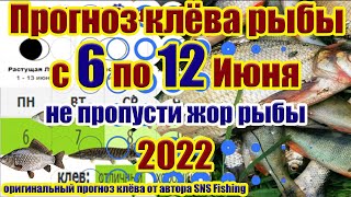 Прогноз клева рыбы на неделю с 6 по 12 Июня Календарь клева рыбы Календарь рыбака на Июнь