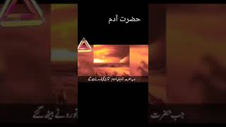 #youtubeshorts #ytshorts #islamicbooks #reading (4)