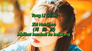 Zai Hui Shou - 再回首 - 童丽 - Tong Li (lirik dan terjemahan)