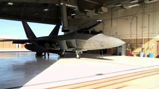 F-22A Raptor Walk Around