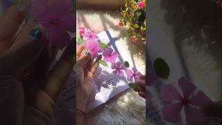 Prettiest Flower DIY Bookmark🌸 #shorts #viralvideo #youtubeshorts #diy #bookmark #craft #flowers