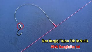 Rangkaian pancing kusus ikan Bergigi tajam