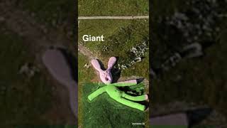 10 of the Creepiest Locations on Google Maps| 8 Giant Disfigured Bunny