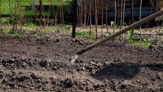 Primeros Pasos para la Jardinería al Aire Libre