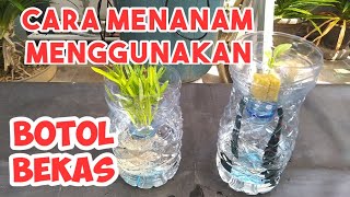 CARA MEMANFAATKAN BOTOL BEKAS UNTUK MENANAM SECARA HIDROPONIK || Tips #3