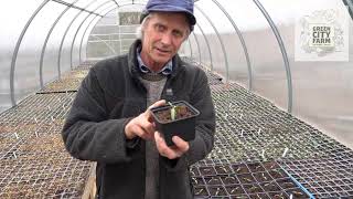 Growing season begins at Green City Farm