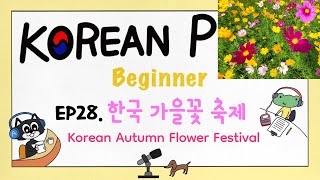 SUB) [Beginner] EP28.한국 가을꽃 축제. Korean Autumn Flower Festival. Korean Podcast