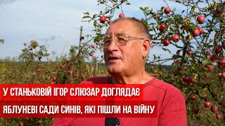 У Станьковій Ігор Слюзар доглядає яблуневі сади синів, які пішли на війну