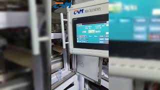 Stability of CAM Machines