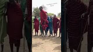 The masai jumping dance . Tanzania