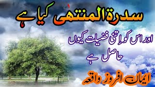 Sidratul۔Muntaha سِدْرَة ٱلْمُنْتَهَىٰ kia hai | What is Sidra۔tul۔Muntaha | Eman afroz Waqia