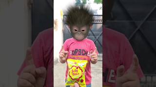 monkey baby gangnam style funny dance video 🐵🍌🍼🎈🥳🕺🤣😅😂#monkeymonkey #funny #bandar #aaryavnaagar #yt