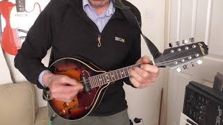 Irish Jigs played on Mandolin