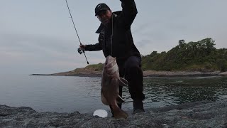 Light Rock Fishing - 30.05.23