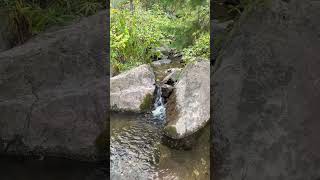 Such a peaceful place to take a break while hiking #nature #peaceful #outdoors #hiking #adventure