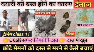 Online Goatfarming Training Class 11 |Dast | diarrhea ka ilaaj | Bakri ke dast ka ilaaj|Vimalumrao