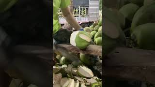 Satisfying coconut 🥥🌴 CUTTING ✂️ #shorts #ytshorts #coconut #satisfying