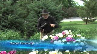 National Geographic Photography Tip: Through the Flowers