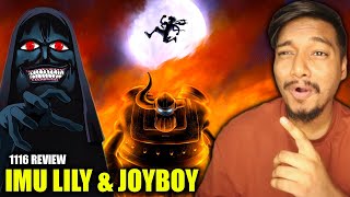 JOY BOY IMU & LILY'S SHOCKING TWIST!🤯| One Piece Chapter 1116 in Hindi