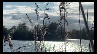 #7. Westbere marshes,DJI OM 4