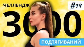 ЭКВАТОР ЧЕЛЛЕНДЖА 3000 ПОДТЯГИВАНИЙ | Подтягиваюсь каждый день в течении месяца | День #14