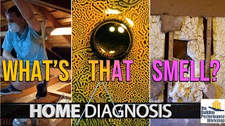 Science of Sick Building Syndrome & Environmental Sensitivity- Ep 307 of HOME DIAGNOSIS TV Series