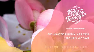 По-настоящему красив только Аллах