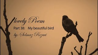 lovely Poem - part 38: My beautiful bird