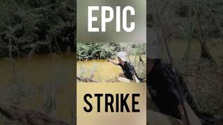 Kuat banget tarikan nya strike paling epic mancing gabus rawa mancing tegek alias kenul #shorts