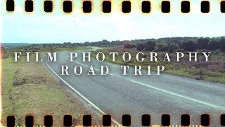 Film Photography Road Trip - The New Forest On Film