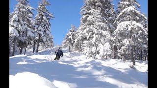 Skiing in and around Littleton, New Hampshire