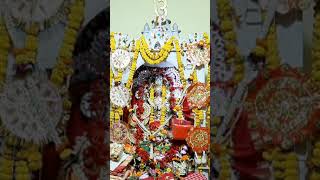 Sheoraphuli Rajbari Sarbamangala Maa||  সোনার দূর্গা||