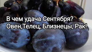 Овен, Телец, Близнецы, Рак! В каком вопросе, ждёт удача?