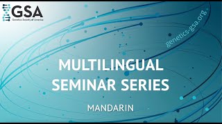 Multilingual Seminar Series: Mandarin