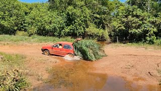 FUI BUSCAR MAIS FOLHAS PARA TERMINAR A CERCA E A GARNIZÉ BOTOU! vida na roça, liu e Márcia.