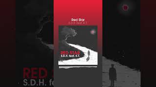 Red Star - S.D.H. feat. K.T. #shorts #shortsvideo #mainstage #bigroom