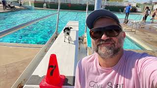 1 special day Dogs are allowed in city swimming pool LRFAV2023 Liddle Rock Friends of Animal Village