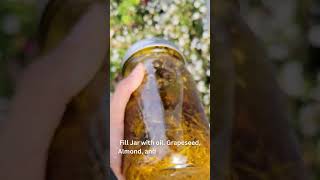 How to make a Calendula Flower Infusion for natural skin care  #shorts