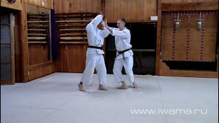 Айкидо Ивама Рю. Мороте дори иккё. Aikido Iwama Ryu. Iwama after keiko. Morote dori Ikkyo.