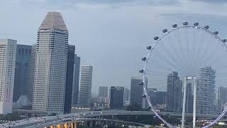 📍Supertree Observatory at Gardens By the Bay, Singapore