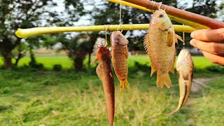 Unique Fishing Trap | Smart boy Catching Fish With Hook In Rice Field | Rice field Fishing