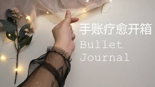 Bullet Journal Materials and tools sharing 手账疗愈开箱