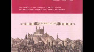 Anton Zimmermann in E flat Major Andante Musica Aeterna.wmv