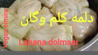 دلمه کلم وگان با روش جدید مواد میانی خام#دلمه#کلم#veganrecipes  #lahanadolması#آشپزی stuffed cabbage