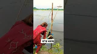 দেখা যাক কি মাছ পাওয়া যায় #fishing #viralvideo #shorts #shots #ytshorts #trending