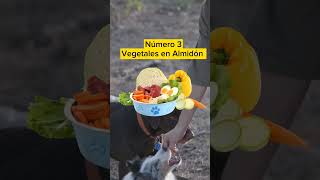 5 Alimentos Aptos para Perros Diabéticos que Puedes Agregar a su Dieta.